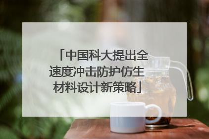 中国科大提出全速度冲击防护仿生材料设计新策略