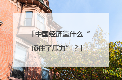 中国经济靠什么“顶住了压力”？