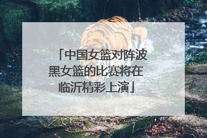 中国女篮对阵波黑女篮的比赛将在临沂精彩上演