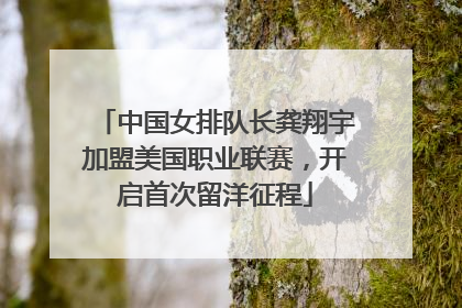 中国女排队长龚翔宇加盟美国职业联赛，开启首次留洋征程
