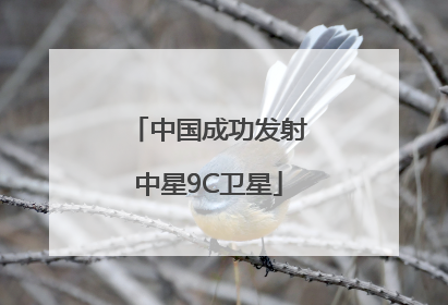 中国成功发射中星9C卫星