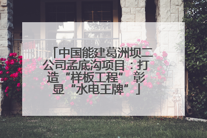 中国能建葛洲坝二公司孟底沟项目：打造“样板工程” 彰显“水电王牌”