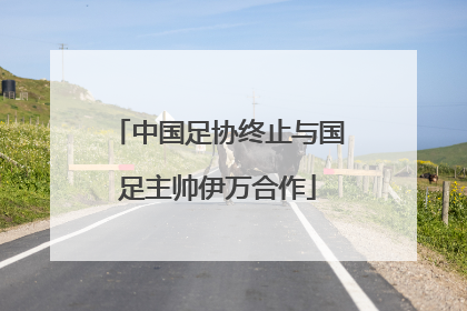 中国足协终止与国足主帅伊万合作