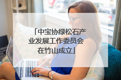 中宝协绿松石产业发展工作委员会在竹山成立