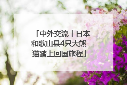 中外交流丨日本和歌山县4只大熊猫踏上回国旅程