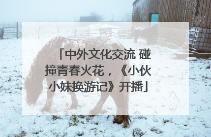 中外文化交流 碰撞青春火花，《小伙小妹换游记》开播