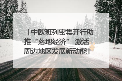 中欧班列密集开行助推“落地经济” 激活周边地区发展新动能