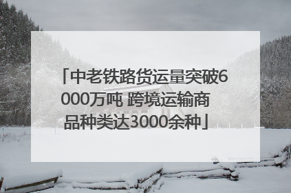 中老铁路货运量突破6000万吨 跨境运输商品种类达3000余种