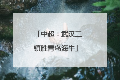 中超：武汉三镇胜青岛海牛