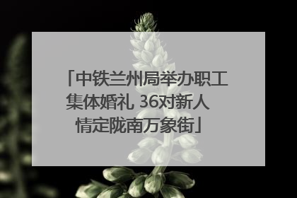 中铁兰州局举办职工集体婚礼 36对新人情定陇南万象街