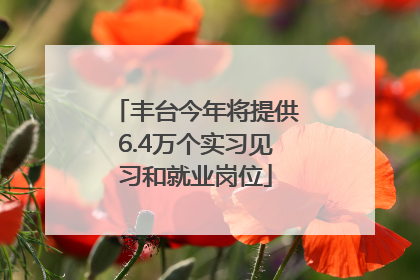 丰台今年将提供6.4万个实习见习和就业岗位