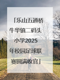 乐山五通桥牛华镇二码头小学2025年校园足球联赛圆满收官