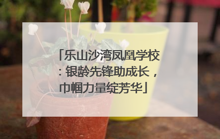 乐山沙湾凤凰学校：银龄先锋助成长，巾帼力量绽芳华