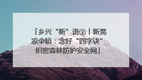 乡兴“新”语②丨新晃凉伞镇：念好“四字诀” 织密森林防护安全网