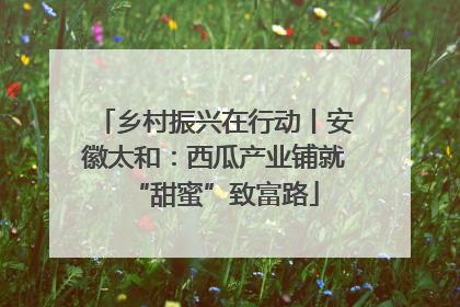 乡村振兴在行动丨安徽太和：西瓜产业铺就“甜蜜”致富路
