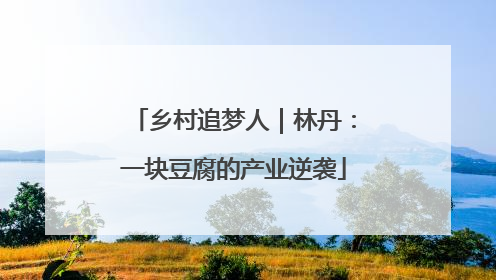 乡村追梦人｜林丹：一块豆腐的产业逆袭