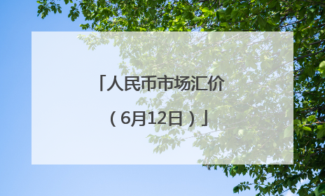 人民币市场汇价（6月12日）