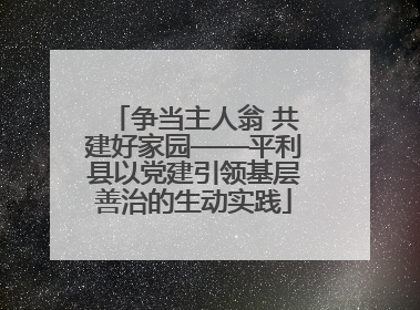 争当主人翁 共建好家园——平利县以党建引领基层善治的生动实践