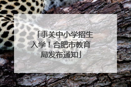 事关中小学招生入学！合肥市教育局发布通知