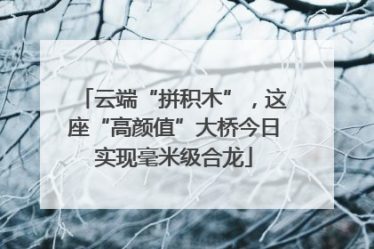 云端“拼积木”，这座“高颜值”大桥今日实现毫米级合龙