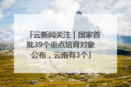 云新闻关注｜国家首批39个重点培育对象公布，云南有3个