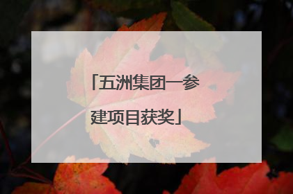 五洲集团一参建项目获奖