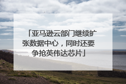 亚马逊云部门继续扩张数据中心，同时还要争抢英伟达芯片