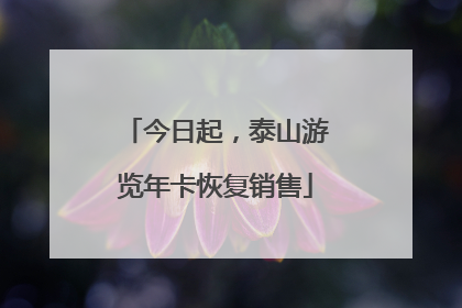 今日起，泰山游览年卡恢复销售