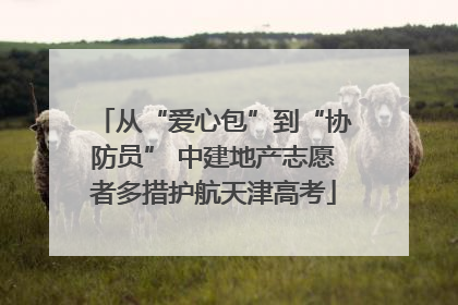 从“爱心包”到“协防员” 中建地产志愿者多措护航天津高考