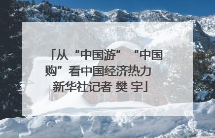 从“中国游”“中国购”看中国经济热力 新华社记者 樊 宇