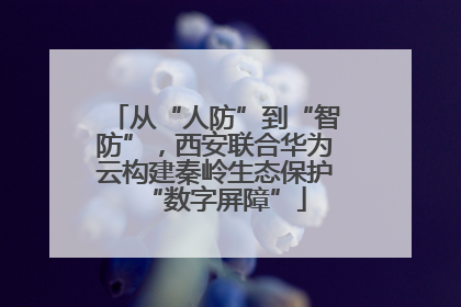 从“人防”到“智防”，西安联合华为云构建秦岭生态保护“数字屏障”