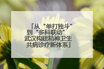 从“单打独斗”到“多科联动” 武汉构建精神卫生共病诊疗新体系