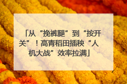 从“挽裤腿”到“按开关”！高青稻田插秧“人机大战”效率拉满