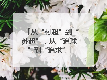 从“村超”到“苏超”，从“追球”到“追求”