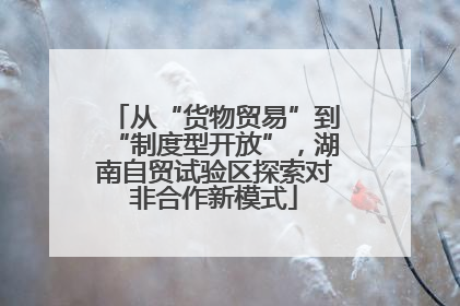 从“货物贸易”到“制度型开放”，湖南自贸试验区探索对非合作新模式