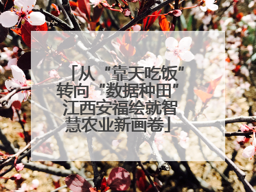 从“靠天吃饭”转向“数据种田” 江西安福绘就智慧农业新画卷