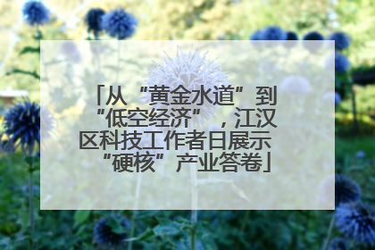 从“黄金水道”到“低空经济”，江汉区科技工作者日展示“硬核”产业答卷