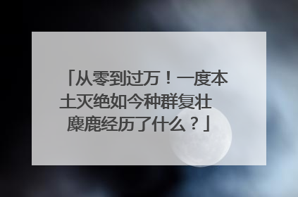 从零到过万！一度本土灭绝如今种群复壮 麋鹿经历了什么？