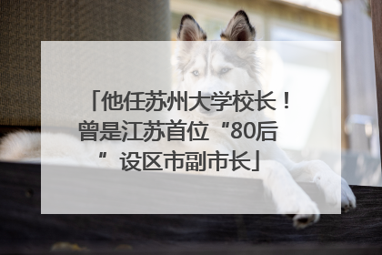 他任苏州大学校长！曾是江苏首位“80后”设区市副市长