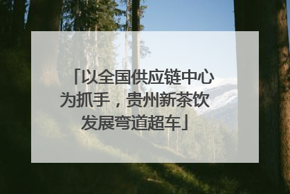 以全国供应链中心为抓手，贵州新茶饮发展弯道超车