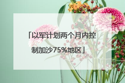 以军计划两个月内控制加沙75%地区