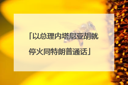 以总理内塔尼亚胡就停火同特朗普通话