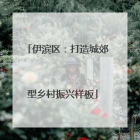 伊滨区：打造城郊型乡村振兴样板
