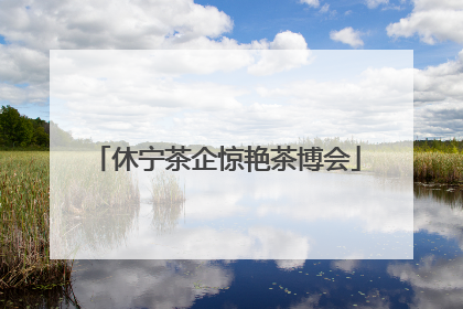 休宁茶企惊艳茶博会