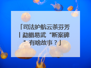 司法护航云茶芬芳丨勐腊易武“断案碑”有啥故事？