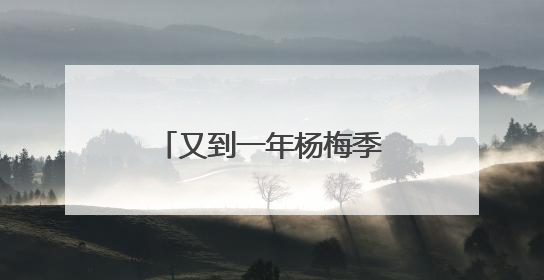 又到一年杨梅季！浙江杨梅赴沪参加世界级食品展