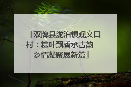 双牌县泷泊镇观文口村：粽叶飘香承古韵 乡情凝聚展新篇