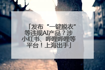 发布“一键脱衣”等违规AI产品？涉小红书、哔哩哔哩等平台！上海出手