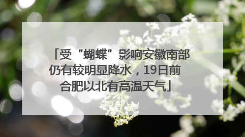 受“蝴蝶”影响安徽南部仍有较明显降水，19日前合肥以北有高温天气