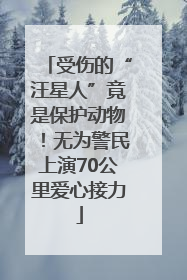 受伤的“汪星人”竟是保护动物！无为警民上演70公里爱心接力
